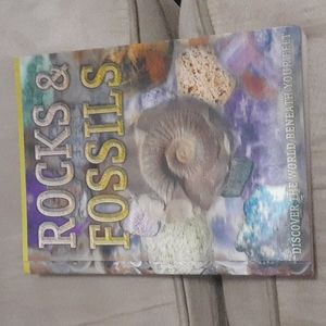 Rocks and Fossils by Miles Kelly - Paperback Book